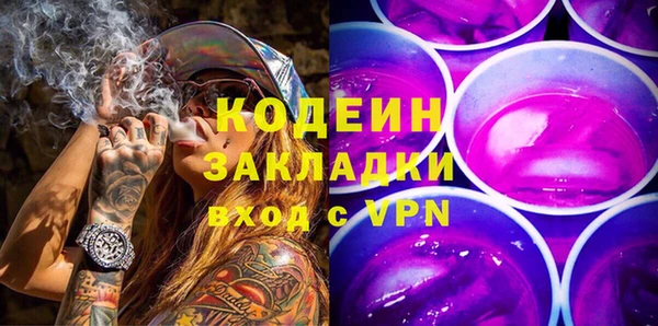 гидра Корсаков