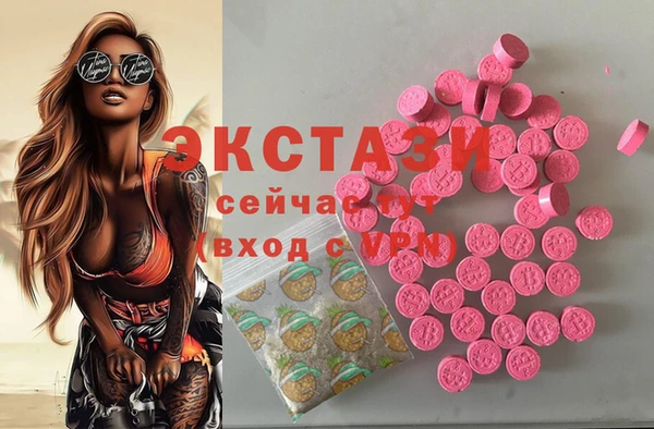 гидра Корсаков