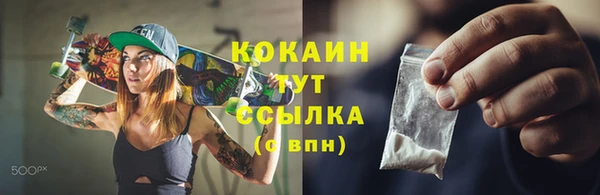 гидра Корсаков