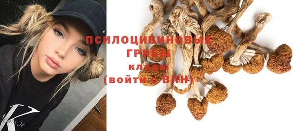spice Костерёво