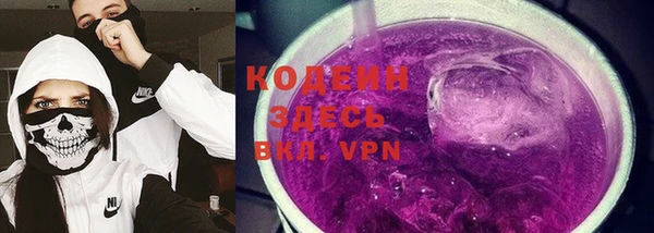 гидра Корсаков