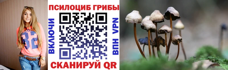 Псилоцибиновые грибы Psilocybe  Монино 